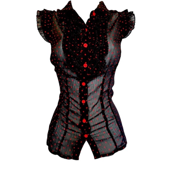 susie rose Tops - Susie Rose Button Up Sheer Top Small